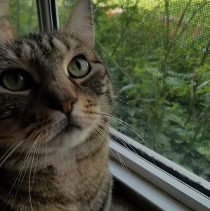 Meet your Posher, Sheree